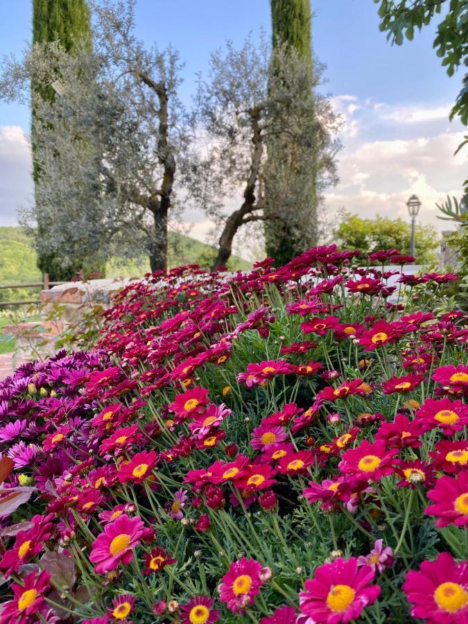 Agriturismo Belagaggio Montefollonico Екстер'єр фото