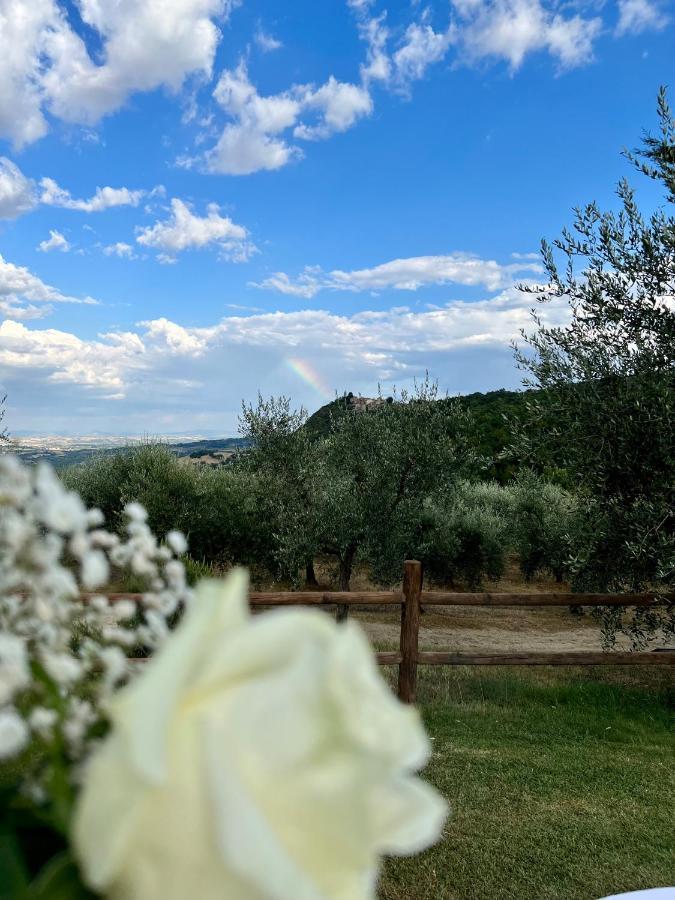 Agriturismo Belagaggio Montefollonico Екстер'єр фото