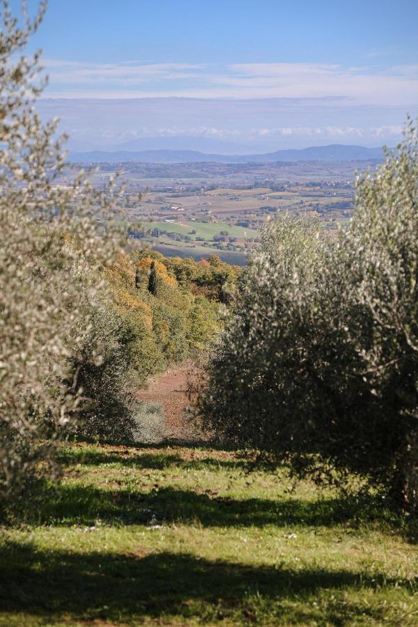 Agriturismo Belagaggio Montefollonico Екстер'єр фото