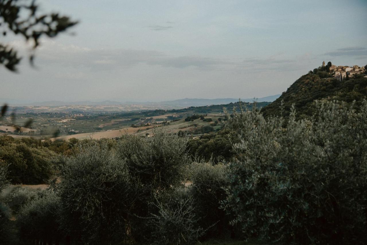 Agriturismo Belagaggio Montefollonico Екстер'єр фото