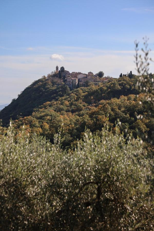 Agriturismo Belagaggio Montefollonico Екстер'єр фото